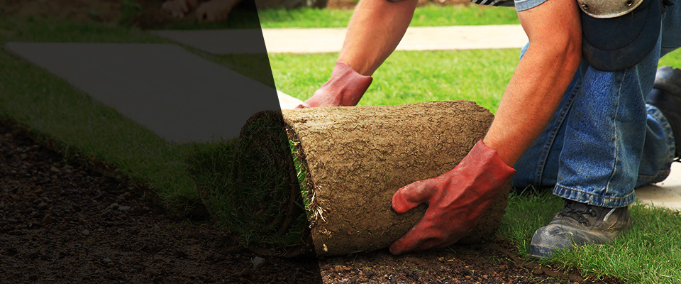 Forest Grove Landscapers